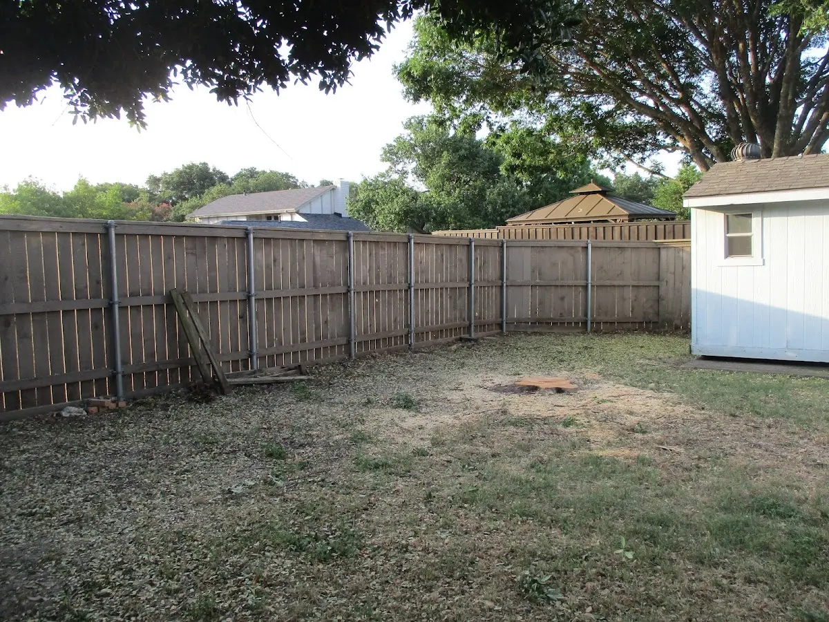 Cleared yard after professional tree removal in Fort Gratiot